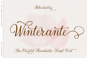 Winterante - Christmas Script Font Font Download