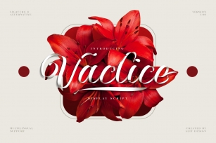 Vaclice Script Font Download