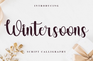 Wintersoons Font Download