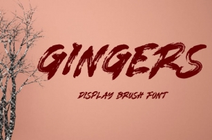AM GINGERS - Display Brush Font Download