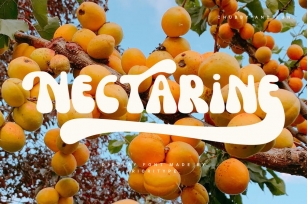 Nectarine - Display Font Font Download