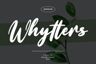 Whytters Script Font Font Download