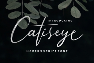 Catiseye Font Download