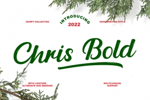 Chris Bold Font Download