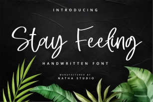 Stay Feeling Font Download