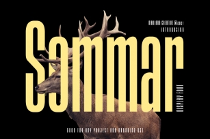 Sommar Display Font Font Download