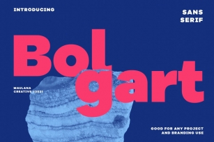 Bolgart Sans Serif Display Font Font Download
