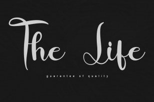 The Life Font Download