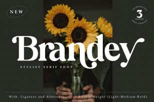 Brandey Stylist Serif Font Font Download