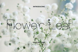 Flower Leaf Font Download