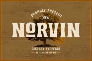 Norvin Font Download