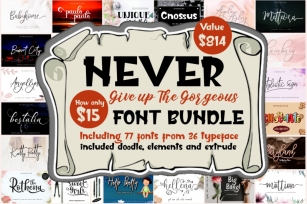 77 Fonts in Never Give Up Gorgeous Font Bundle Font Download