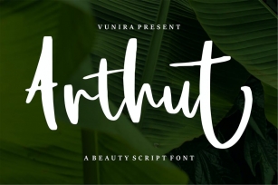 Arthut |Modern Script Font Font Download