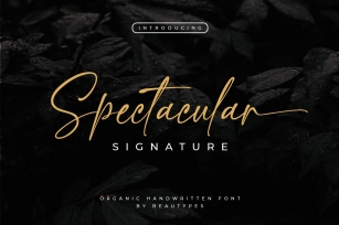 Spectacular Signature Font Download