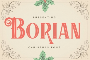 Borian Font Font Download