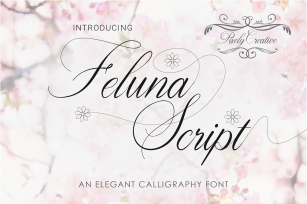 Feluna Script Font Download