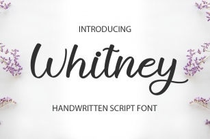 Withney Font Download