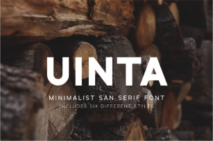 Uinta Minimalist San Serif Font Font Download