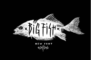 Big Fish DD Font Download