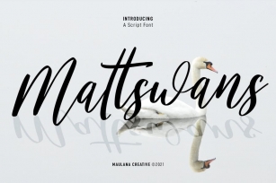 Mattswans Script Font Font Download