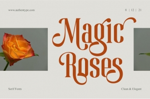Magic Roses - Serif Clean Elegant Font Download
