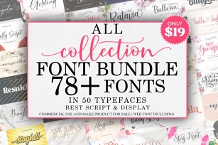 All Collection Bundle Font Download