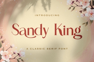 Sandy King - Casual Serif Font Font Download