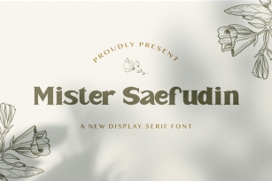 Mister Saefudin - Elegant Serif Font Font Download