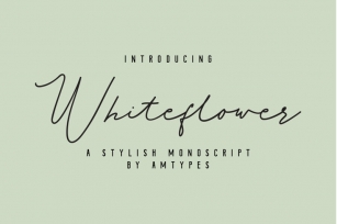 Whiteflower Monoscript Font Download