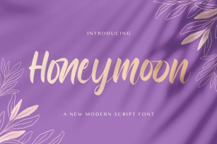 Honeymoon - Handwritten Font Font Download