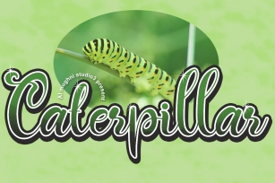 Caterpillar Script Font Download