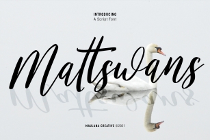 Mattswans Script Font Download