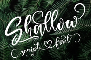 Shallow Font Download