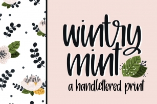 wintry mint Font Download