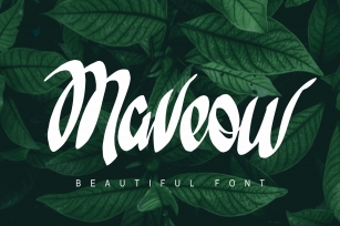 Maveow Font Download
