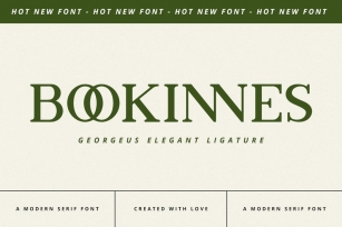 Bookinnes - Business Font Font Download
