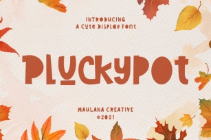 Pluckypot Cute Display Font Font Download