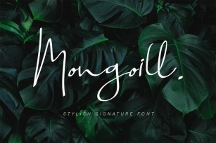 Mongoill Font Download