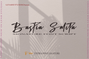 Bastia Salita Font Download