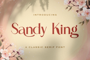Sandy King Font Download