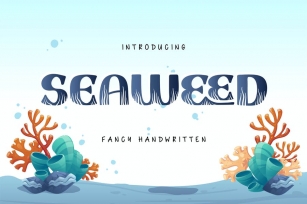 Seaweed | Fancy Handwritten Font Font Download