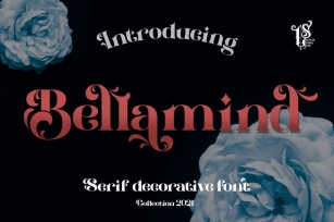 Bellamind - Serif Decorative Font Font Download