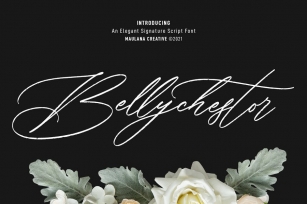 Bellychestor Elegant Signature Script Font Font Download