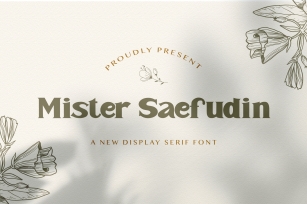 Mister Saefudin Font Download