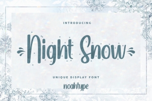 Night Snow Font Download