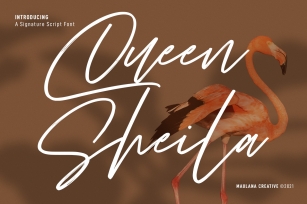 Queen Sheila Font Download