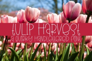 Tulip Harvest Font Download