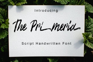 The Primeria Font Download