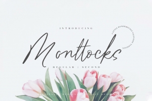 Monttocks Script Font Download