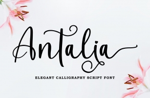 Antalia Font Download